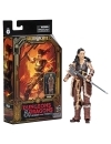 Dungeons & Dragons: Honor Among Thieves Golden Archive Figurina articulata Holga 15 cm