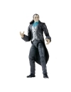 Marvel Legends Figurina articulata Morlun (Marvel's Armadillo BAF) 15 cm