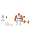 Future Foundation Marvel Legends Set 2 figurine articulate The Thing & Invisible Woman 15 cm