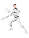 Future Foundation Marvel Legends Set 2 figurine articulate Mister Fantastic & Spider-Man 15 cm