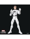 Future Foundation Marvel Legends Set 2 figurine articulate Mister Fantastic & Spider-Man 15 cm