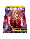 Godzilla × Kong: The New Empire Giant Titans  Figurina articulata Star King 28 cm 