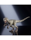 Jurassic World Hammond Collection Figurina articulata Atrociraptor Ghost 10 cm
