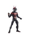 Marvel Legends Figurina articulata Future Ant-Man (Cassie Lang BAF) 15 cm