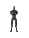 Marvel Legends Black Panther Figurina articulata Black Panther 15 cm