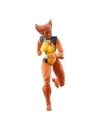 Marvel Legends Figurina articulata Wolfsbane (BAF: Marvel's Zabu) 15 cm