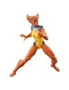 Marvel Legends Figurina articulata Wolfsbane (BAF: Marvel's Zabu) 15 cm