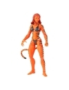 Marvel Legends Retro Collection Figurina articulata Tigra 15 cm