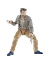 Marvel Legends Series Deadpool & Wolverine Figurina articulata Logan si Headpool 15cm