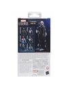 Marvel Legends Series Gamerverse Spider-Man 2 Figurina articulata Felicia Hardy Black Cat15 cm