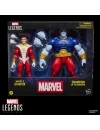 Marvel Legends Series Set 2 figurine Starfox & Champion of the Universe 15cm