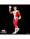 Marvel Legends Series Set 2 figurine Starfox & Champion of the Universe 15cm