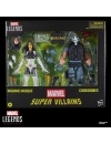 Marvel Legends Series Super Villains Set 2 figurine articulate Madame Masque & Crossbones 15cm