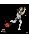 Marvel Legends Series Super Villains Set 2 figurine articulate Madame Masque & Crossbones 15cm