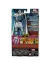 Marvel Legends Super Villains Figurina articulata Dr. Doom (Xemnu BAF) 15 cm