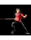 Marvel Legends Shang-Chi (Shang-Chi and the Legend of the Ten Rings)  (Marvel's Mr. Hyde BAF) 15cm