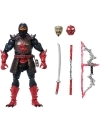 Masters of the Universe Core New Etheria Figurina articulata Ninjor 18 cm