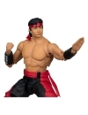 Mortal Kombat Klassics Figurina articulata Liu Kang 18 cm