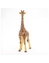 Papo - figurina girafa mascul