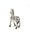 Papo - figurina pui de zebra