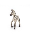 Papo - figurina pui de zebra