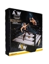 Ring Wrestling AEW Medium 