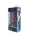 Star Wars: Ahsoka Black Series Figurina articulata Ezra Bridger (Peridea) 15 cm