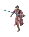 Star Wars: Ahsoka Black Series Figurina articulata Ezra Bridger (Peridea) 15 cm