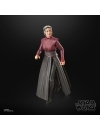 Star Wars: Ahsoka Black Series Figurina articulata Morgan Elsbeth 15 cm