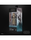 Star Wars: Ahsoka Black Series Figurina articulata Shin Hati 15 cm