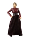 Star Wars: Ahsoka Vintage Collection Figurina articulata Morgan Elsbeth 10 cm