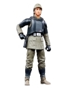 Star Wars: Andor Black Series Figurina articulata Cassian Andor (Aldhani Mission) 15 cm