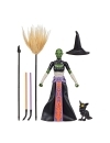Star Wars Black Series Action Figure Dathomir Witch (Halloween Edition) 15 cm