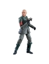 Star Wars Black Series Figurina Migs Mayfeld (Morak) (The Mandalorian) 15 cm