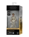 Star Wars Episode I Black Series Figurina articulata Anakin Skywalker 15 cm