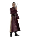 Star Wars Episode I Black Series Figurina articulata Padmé Amidala 15 cm