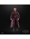 Star Wars Episode I Black Series Figurina articulata Padmé Amidala 15 cm