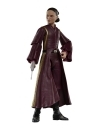 Star Wars Episode I Black Series Figurina articulata Padmé Amidala 15 cm