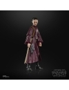 Star Wars Episode I Black Series Figurina articulata Padmé Amidala 15 cm