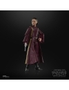 Star Wars Episode I Black Series Figurina articulata Padmé Amidala 15 cm