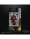 Star Wars Episode I Black Series Figurina articulata Padmé Amidala 15 cm