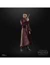Star Wars Episode I Black Series Figurina articulata Padmé Amidala 15 cm