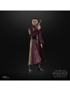 Star Wars Episode I Black Series Figurina articulata Padmé Amidala 15 cm