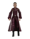 Star Wars Episode I Black Series Figurina articulata Padmé Amidala 15 cm