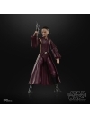 Star Wars Episode I Black Series Figurina articulata Padmé Amidala 15 cm