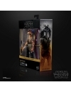 Star Wars Black Series Figurina articulata Deluxe Jar Jar Binks (The Phantom Menace) 15 cm