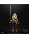Star Wars Figurina articulata Jar Jar Binks (Episode I) 15 cm