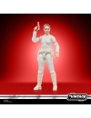 Star Wars Episode II Vintage Collection Figurina articulata Padmé Amidala 10 cm