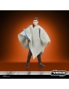 Star Wars Episode II Vintage Collection Figurina articulata Anakin Skywalker (Peasant Disguise) 10 cm