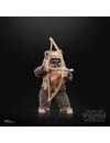 Star Wars Episode VI 40th Anniversary Black Series Figurina articulata Wicket 15 cm